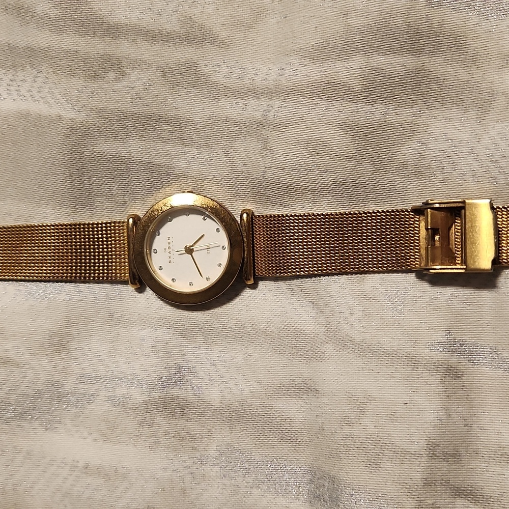 Skagen Gold Watch